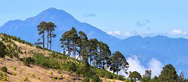 Reserva de la Biosfera Volcán Tacaná, Unión Juárez