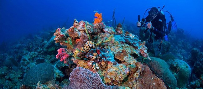 Parque Nacional Arrecife Alacranes, Progreso