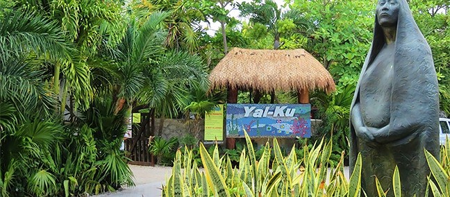 Laguna Yal-ku, Akumal