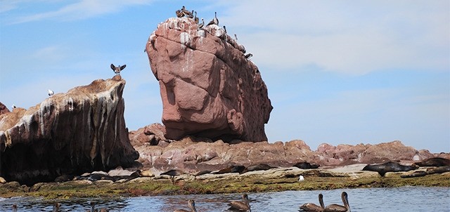 Isla Espíritu Santo, La Paz