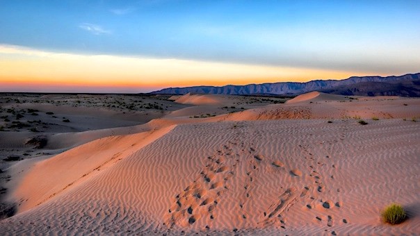 Dunas de Bilbao, Torreón