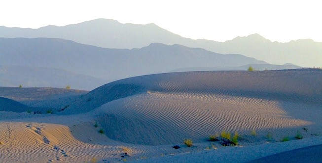 Dunas de Bilbao, Torreón