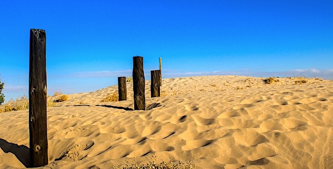 Dunas de Bilbao, Torreón