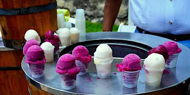 Helados La Flor de Dolores, Dolores Hidalgo