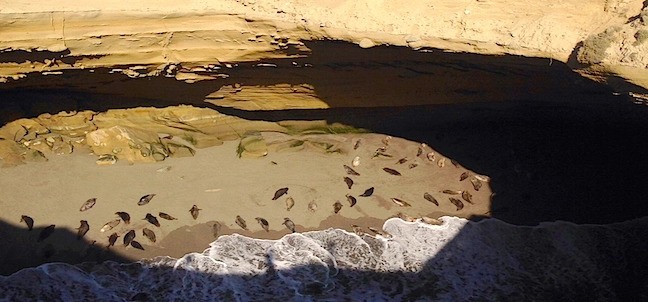 La Lobera, San Quintín