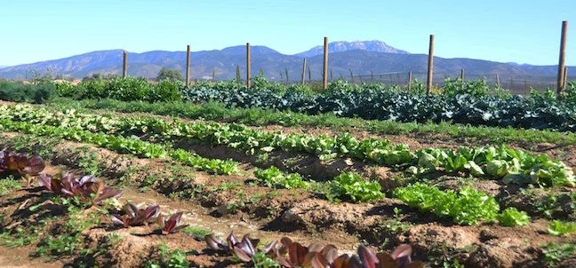 El Cielo, Valle de Guadalupe