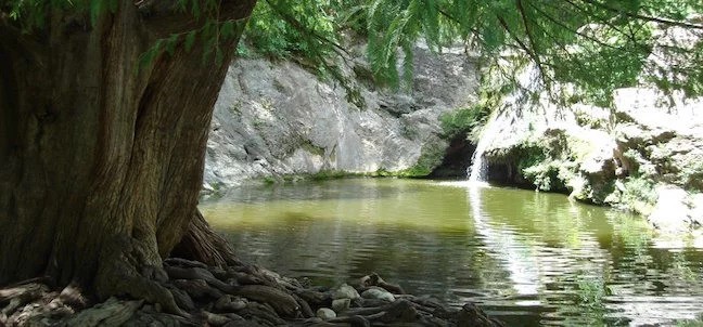 Charco Azul, Cosalá