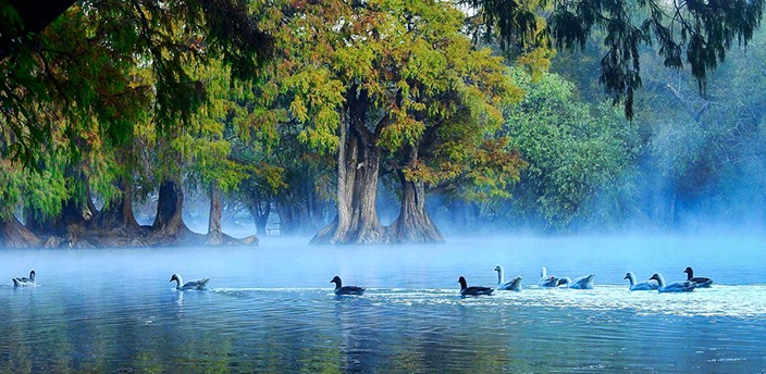 Lago de Camécuaro, Tangancícuaro