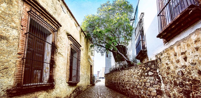 Callejón del Beso, Álamos