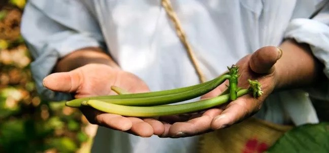 Papantla, Poza Rica