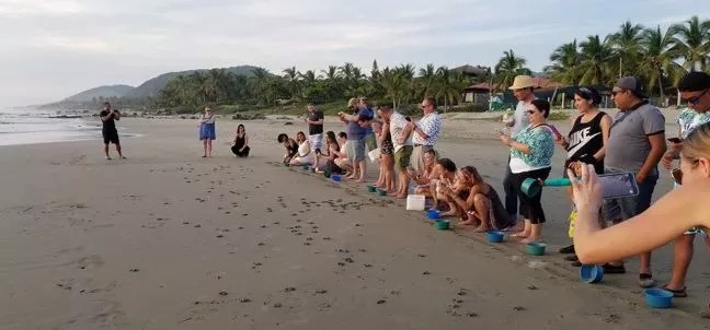 Campamento Tortuguero ECOT, Troncones