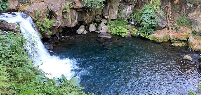 Parque Nacional Barranca del Cupatitzio, Uruapan