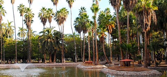 Jardín Botánico Benjamín Francis Johnston, Los Mochis