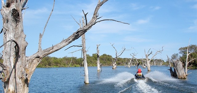 Presa Vicente Guerrero, Ciudad Victoria