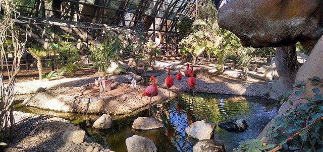 Bosque y Zoológico de la Ciudad, Mexicali