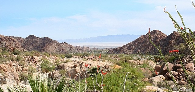 Cañón de Guadalupe, Mexicali