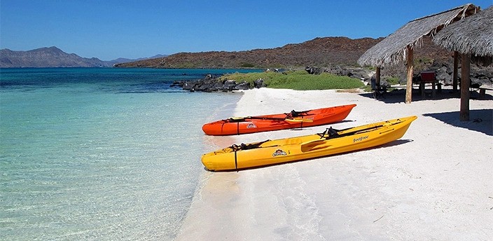 Tour en lancha a Isla Coronado, Loreto