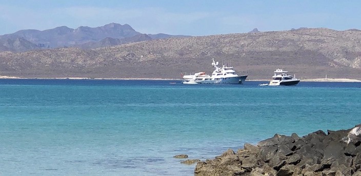 Tour en lancha a Isla Coronado, Loreto