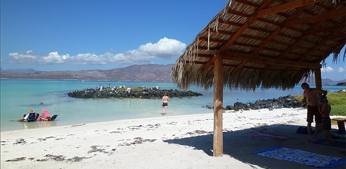 Tour en lancha a Isla Coronado, Loreto