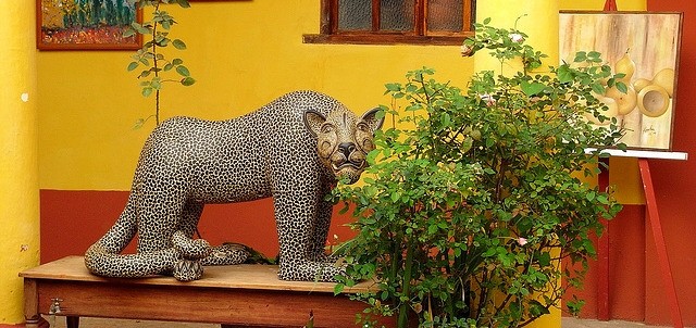 Museo Na - Bolom, San Cristóbal de las Casas