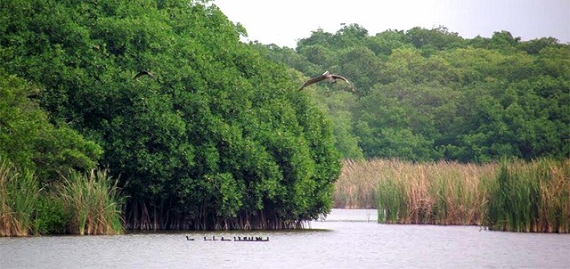 Cuyutlán, Manzanillo