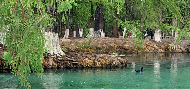 Laguna de la Media Luna, Río Verde