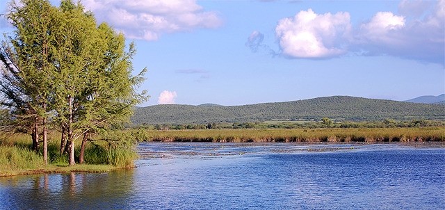 Laguna de la Media Luna, Río Verde