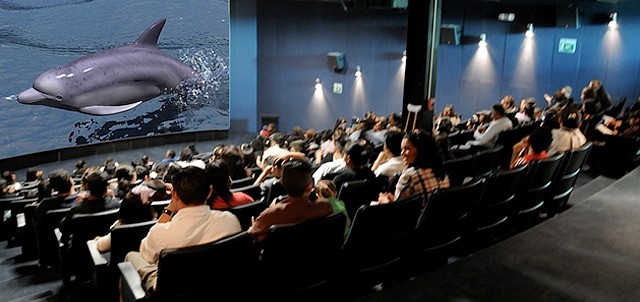 Museo Interactivo Tijuana El Trompo, Tijuana