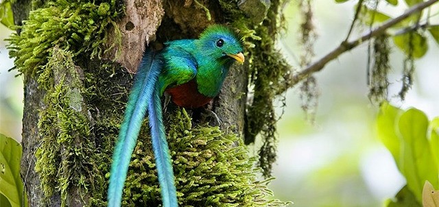 Zoológico Miguel Álvarez del Toro, Tuxtla Gutiérrez