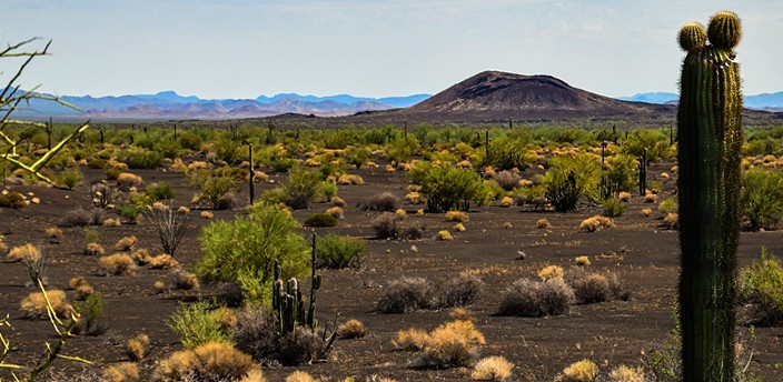 Reserva de la Biósfera El Pinacate y Gran Desierto de Altar, San Luis Río Colorado