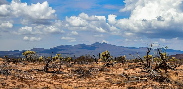 Reserva de la Biósfera El Pinacate y Gran Desierto de Altar, San Luis Río Colorado