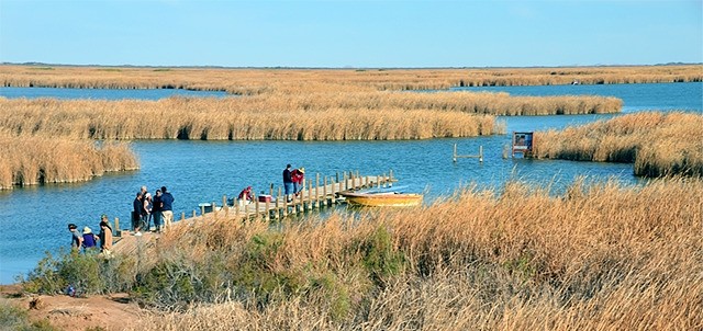 La Ciénega de Santa Clara, San Luis Río Colorado