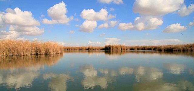 La Ciénega de Santa Clara, San Luis Río Colorado