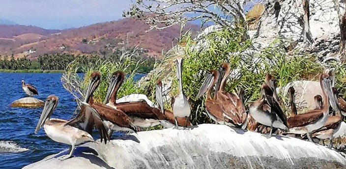 Laguna de Coyuca, Acapulco