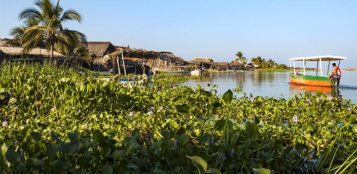 Laguna de Coyuca, Acapulco