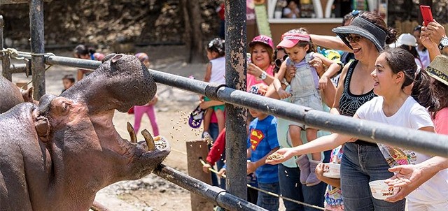 Zoofari, Cuernavaca