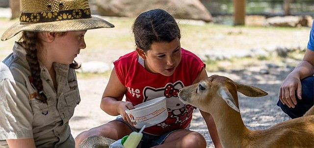 Zoofari, Cuernavaca