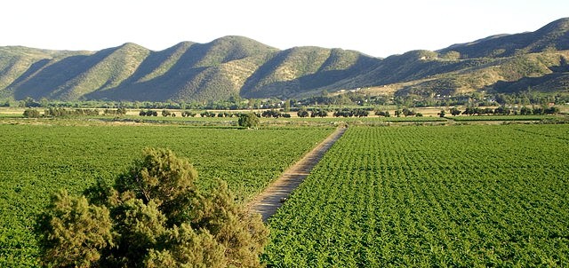 Cava Las Ánimas de la Vid, Valle de Guadalupe