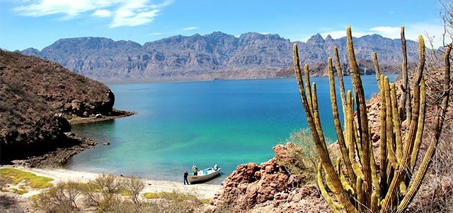 Isla Danzante, Loreto