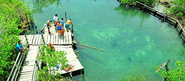 Parque Estatal Lagunas de Yalahau, Holbox