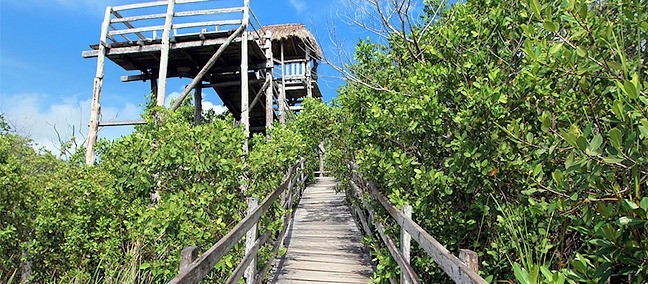 Parque Estatal Lagunas de Yalahau, Holbox