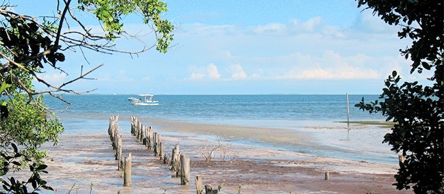 Parque Estatal Lagunas de Yalahau, Holbox