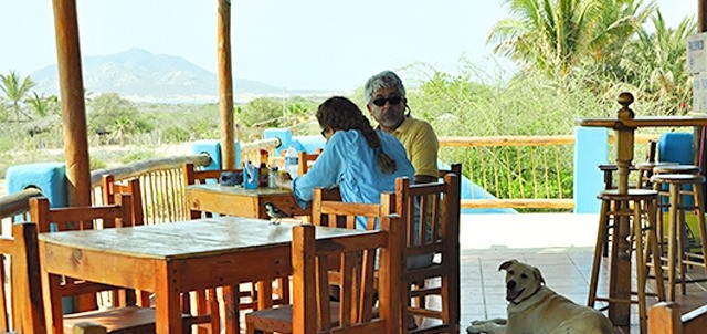 Coral Reef, Cabo Pulmo