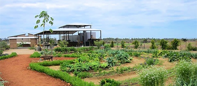 Hortaliza Hierbabuena, El Pescadero