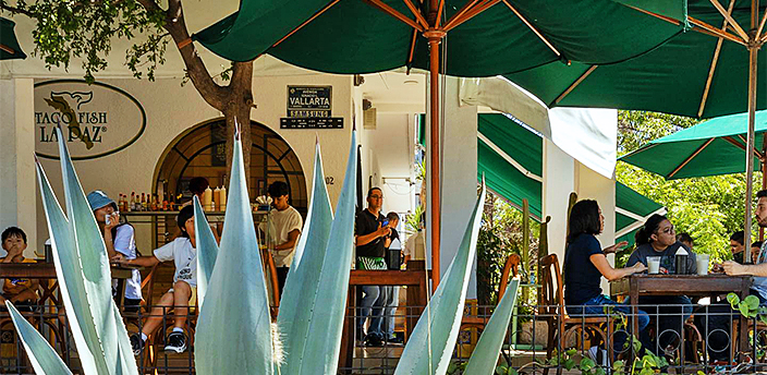 Taco Fish La Paz, Guadalajara