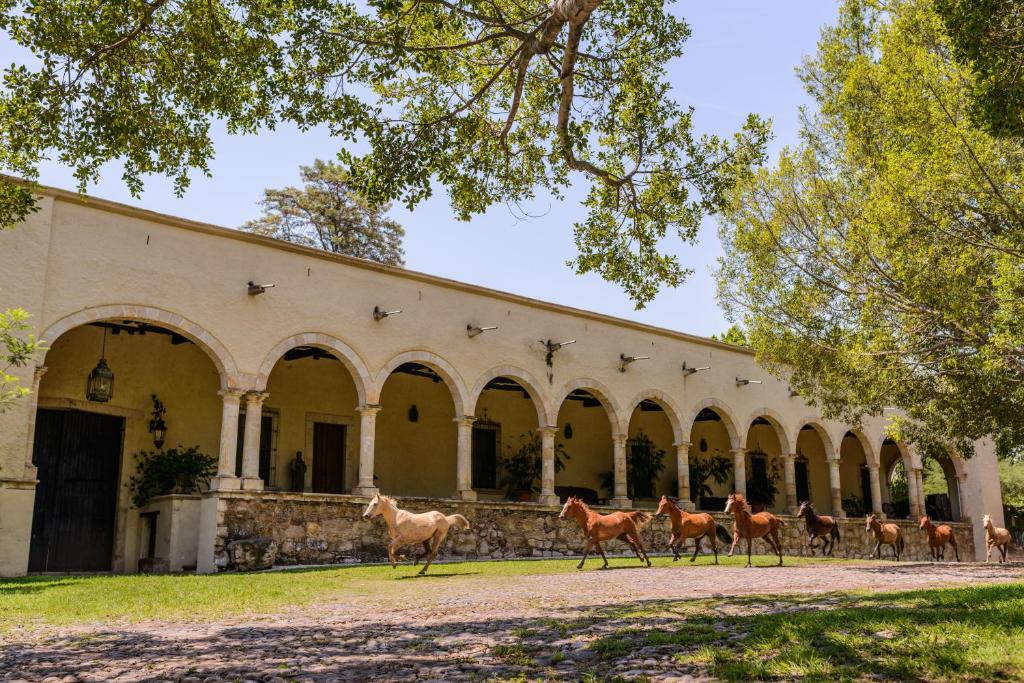 Hacienda Labor De Rivera, Teuchitlán