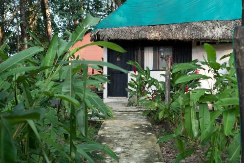 Cabañas Safari, Palenque