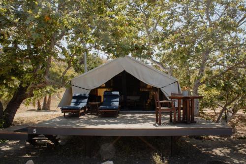 Cuatro Cuatros, Valle de Guadalupe