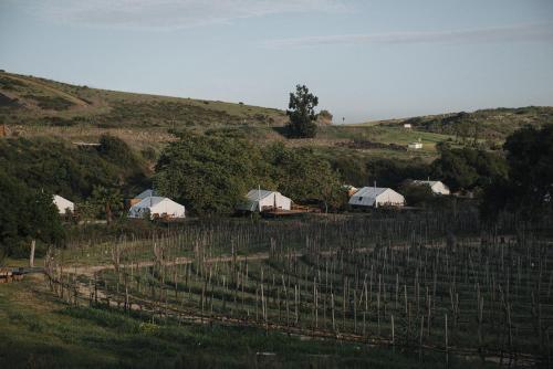 Cuatro Cuatros, Valle de Guadalupe