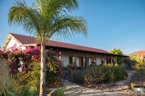 Terra del Valle, Valle de Guadalupe